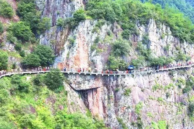 见习小魔女勇闯猪窝岛